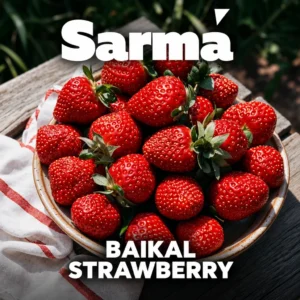 SARMA BAIKAL STRAWBERRY
