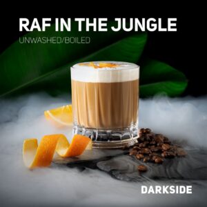DARKSIDE RAF IN THE JUNGLE
